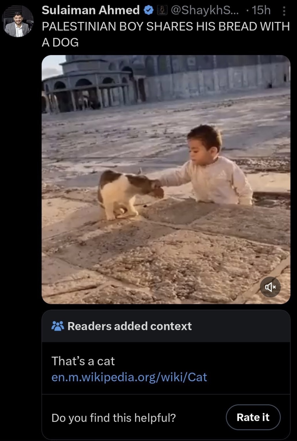 screenshot - Sulaiman Ahmed ... .15h Palestinian Boy His Bread With A Dog Readers added context That's a cat en.m.wikipedia.orgwikiCat Do you find this helpful? Rate it